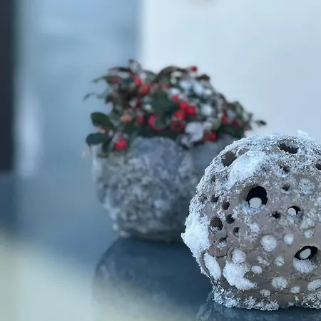 Apartmán Saxenhammer